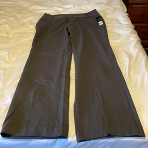 NWT daisy fuentes size 10 dress pant charcoal